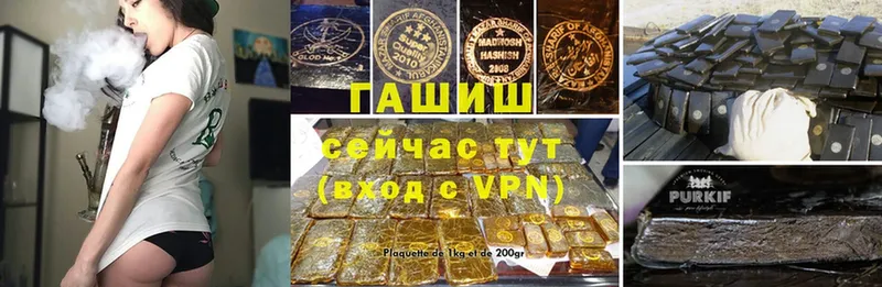 Гашиш VHQ  как найти закладки  Заводоуковск 